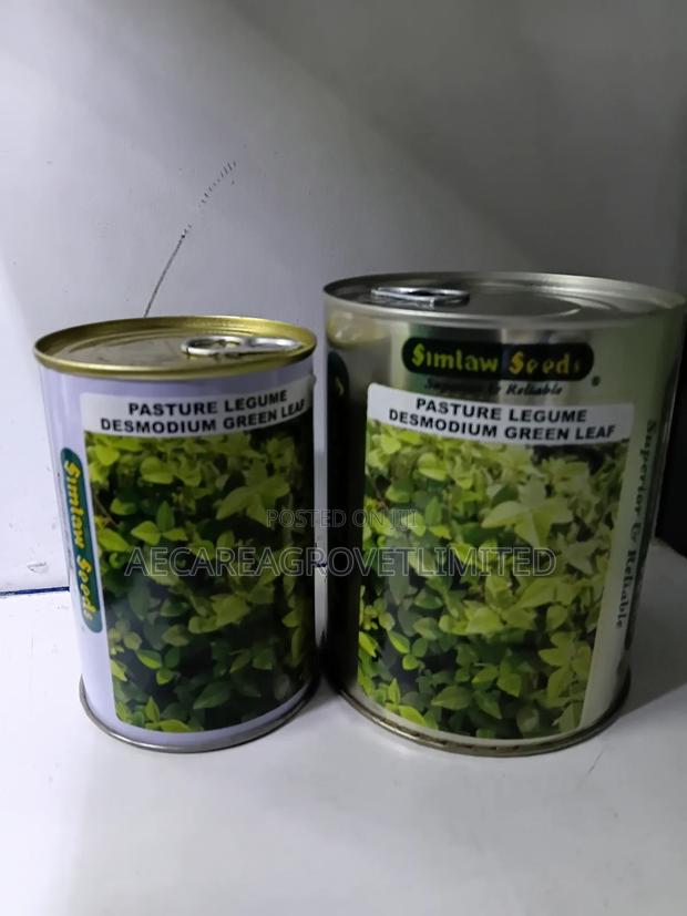 Desmodium Pasture Legume Green Leaf 100g, 250g