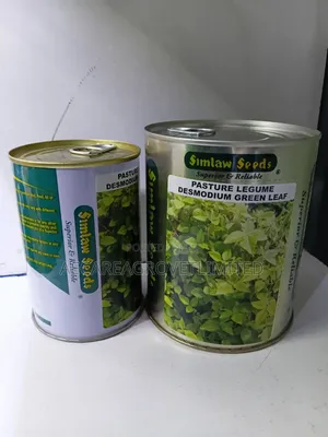 Desmodium Pasture Legume Green Leaf 100g, 250g