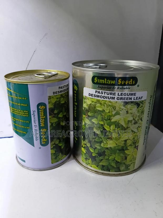 Desmodium Pasture Legume Green Leaf 100g, 250g - thumbnail 4