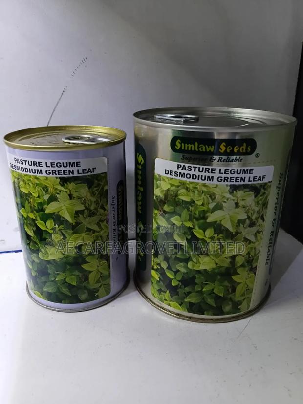 Desmodium Pasture Legume Green Leaf 100g, 250g - thumbnail 5