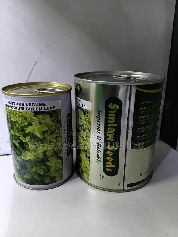 Desmodium Pasture Legume Green Leaf 100g, 250g - thumbnail 6