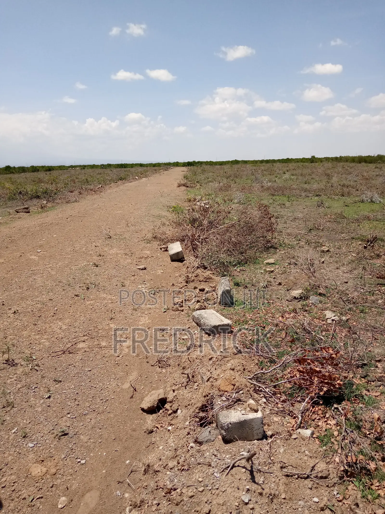 Daiga Gardens 1 Nanyuki