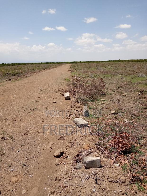 Daiga Gardens 1 Nanyuki - thumbnail 2