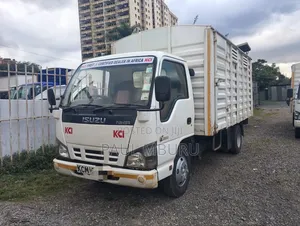 Isuzu Nkr. 2017 White