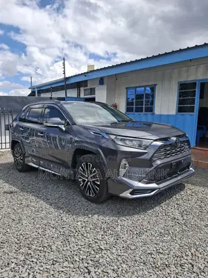 Toyota RAV4 2019 Gray