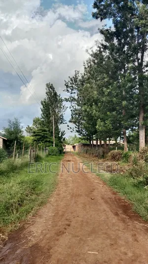 1/4 Acre Residential Plot Maguguni, 100m From Tarmac