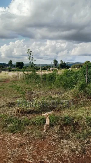 1/4 Acre Residential Plot Maguguni, 100m From Tarmac