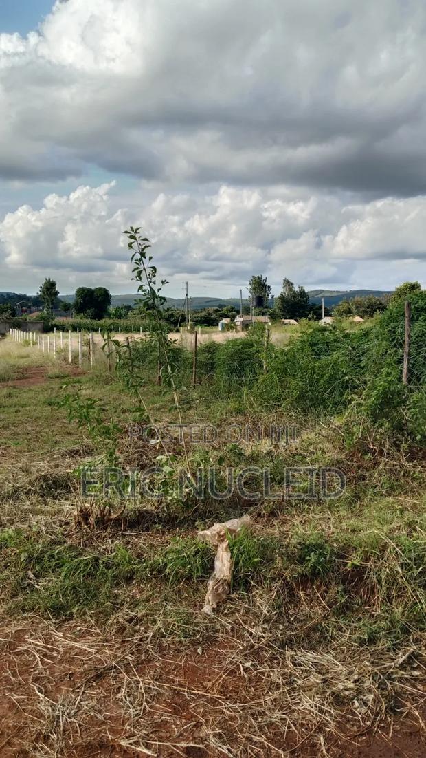 1/4 Acre Residential Plot Maguguni, 100m From Tarmac - thumbnail 3