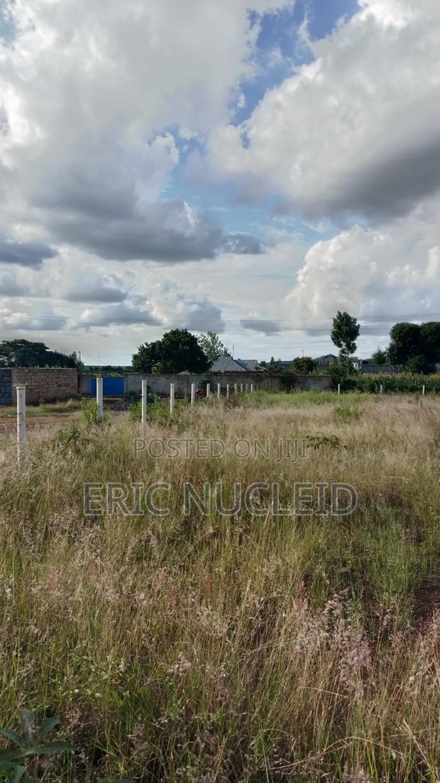 1/4 Acre Residential Plot Maguguni, 100m From Tarmac - thumbnail 4
