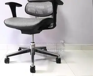 Office Chairs; Sail Orthopedic Executive Office Chairs