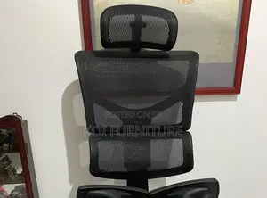 Office Chairs; Sail Orthopedic Executive Office Chairs
