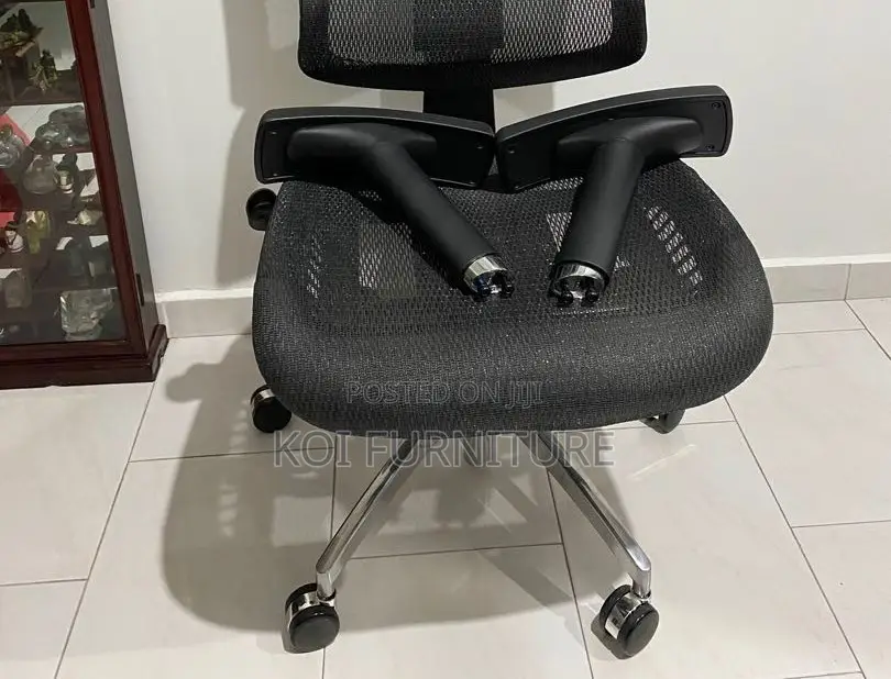 Office Chairs; Sail Orthopedic Executive Office Chairs