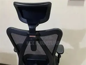 Office Chairs; Orthopedic Office Seat With Adjustable Armrest Height