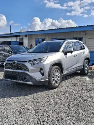 Toyota RAV4 2019 Silver