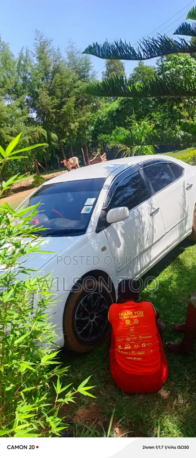 Toyota Premio 2005 White