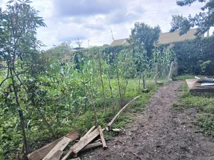 100x100 Plot