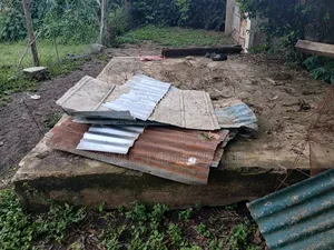 100x100 Plot