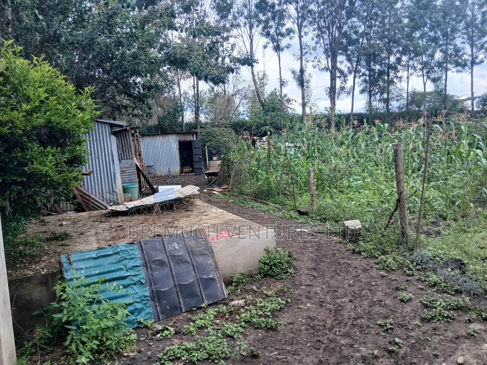 100x100 Plot