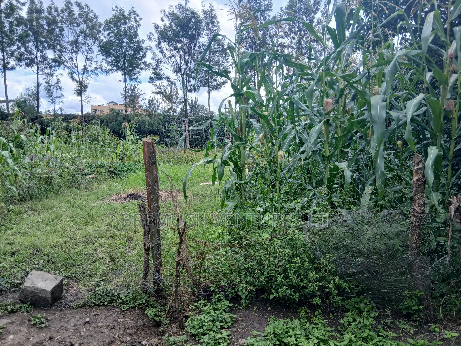 100x100 Plot