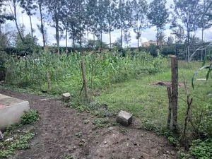 100x100 Plot