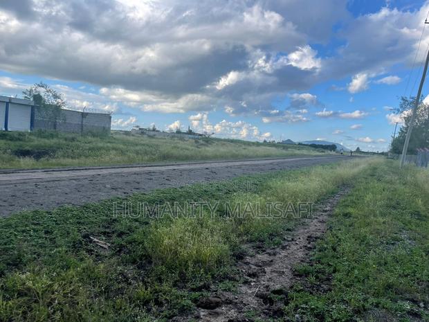 50 by 100 Plots,Mwalimu Farm 5km From Kagundo Road - thumbnail 6