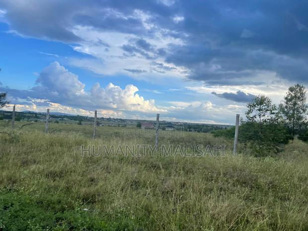 50 by 100 Plots,Mwalimu Farm 5km From Kagundo Road - thumbnail 11