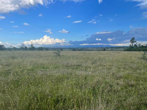 50 by 100 Plots,Mwalimu Farm 5km From Kagundo Road - thumbnail 12