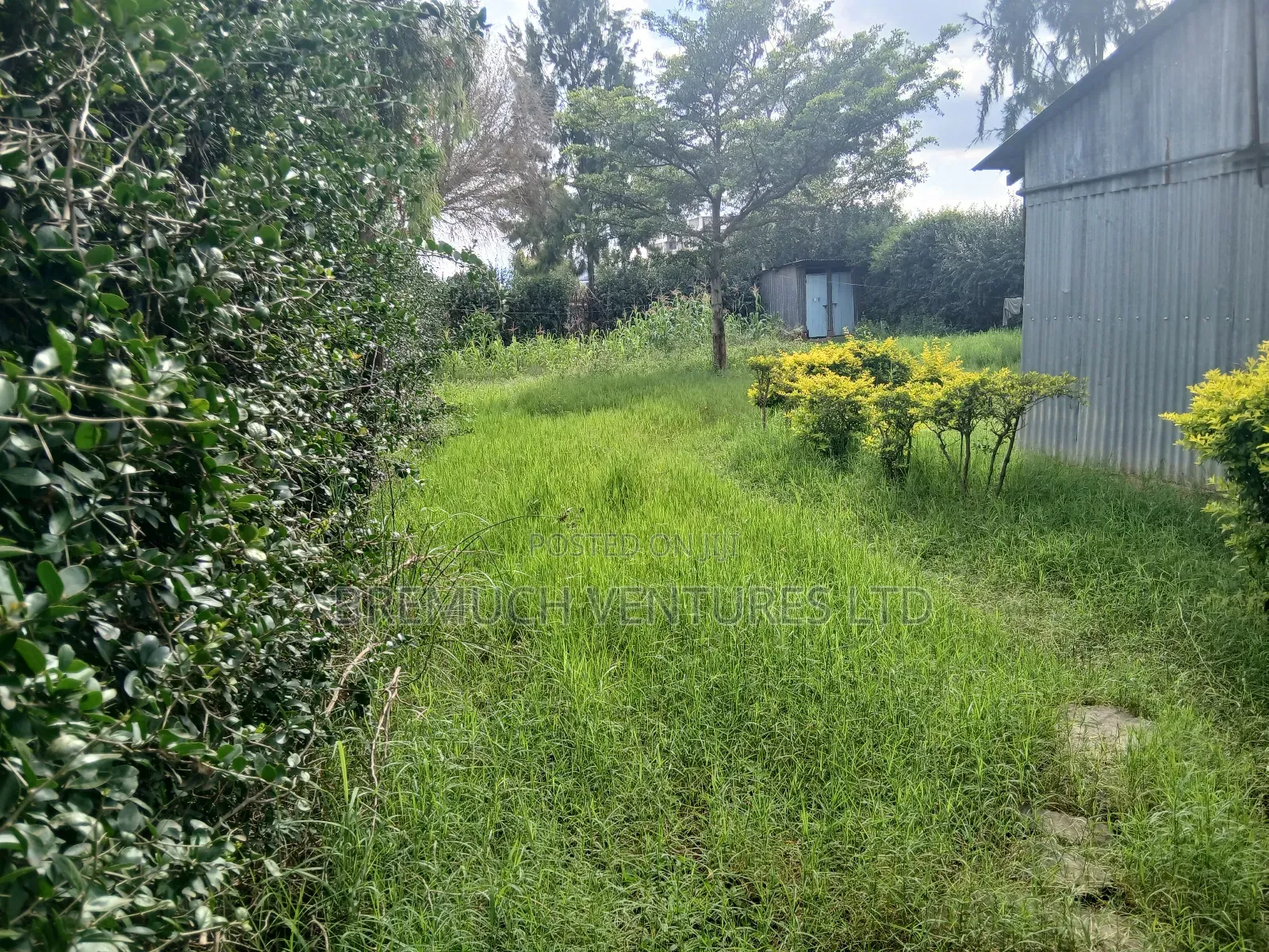50x100 Plot