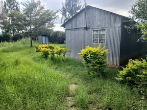 50x100 Plot