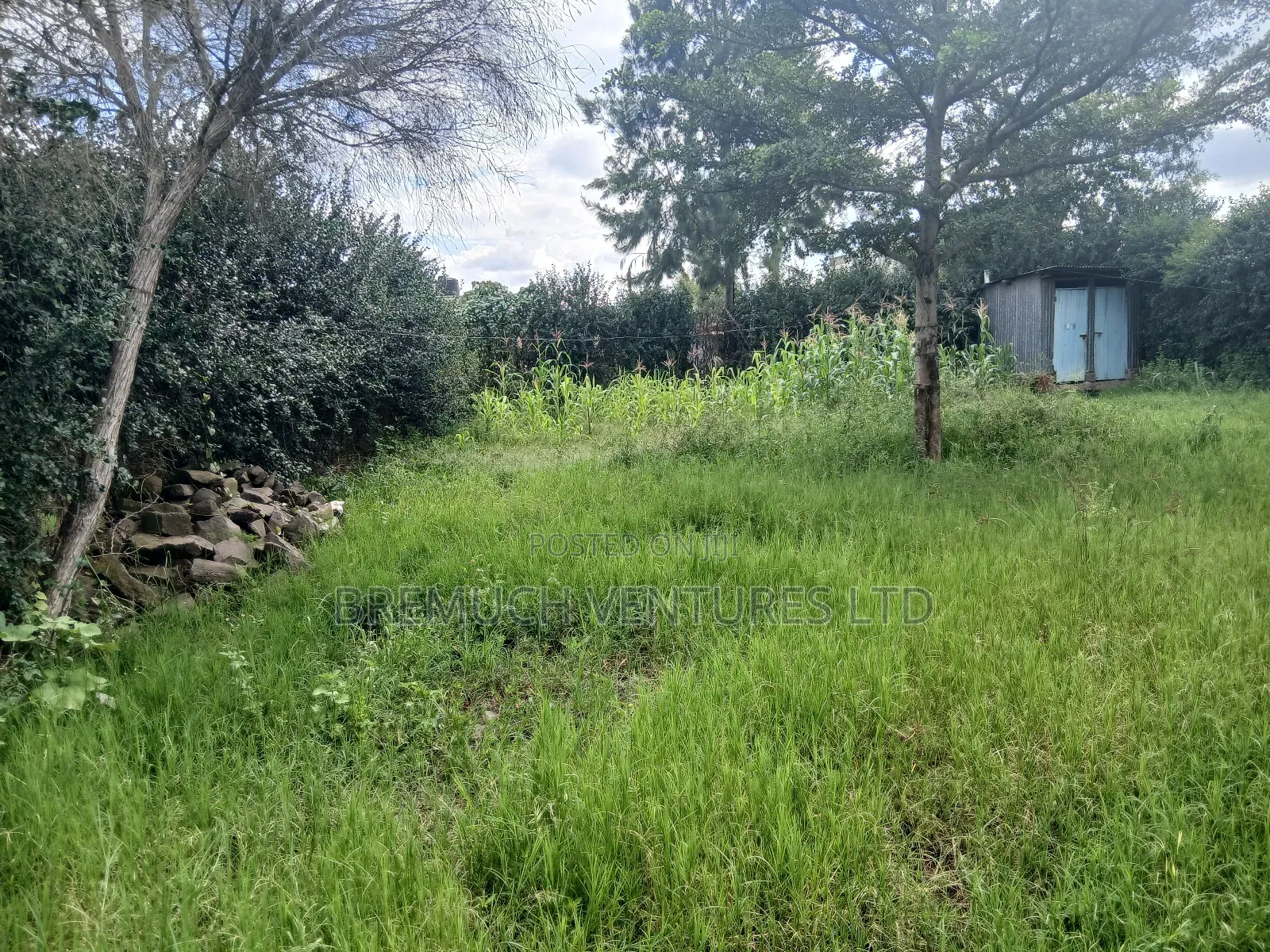 50x100 Plot