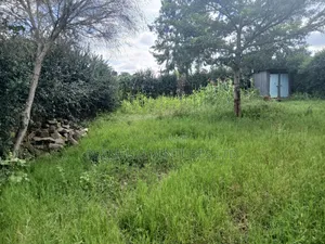 50x100 Plot