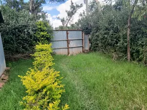 50x100 Plot