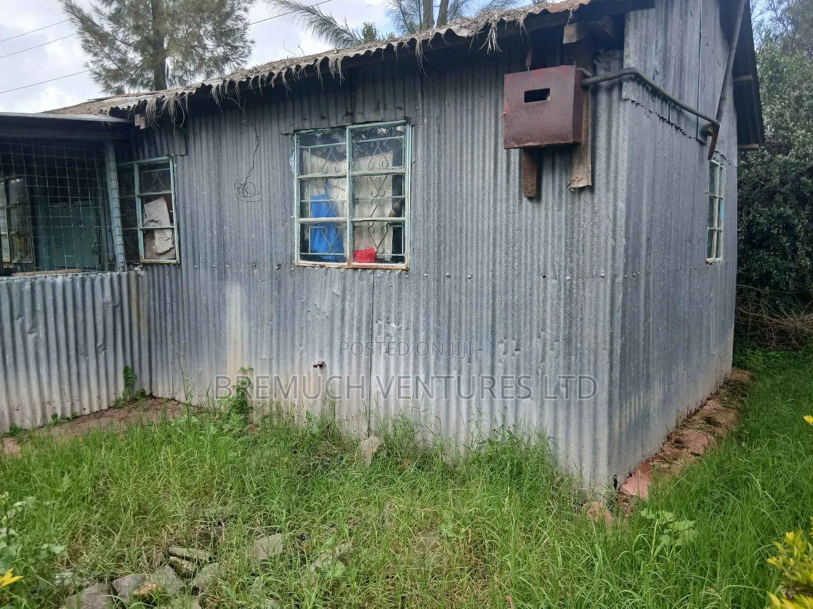 50x100 Plot