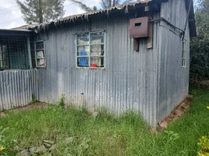 50x100 Plot