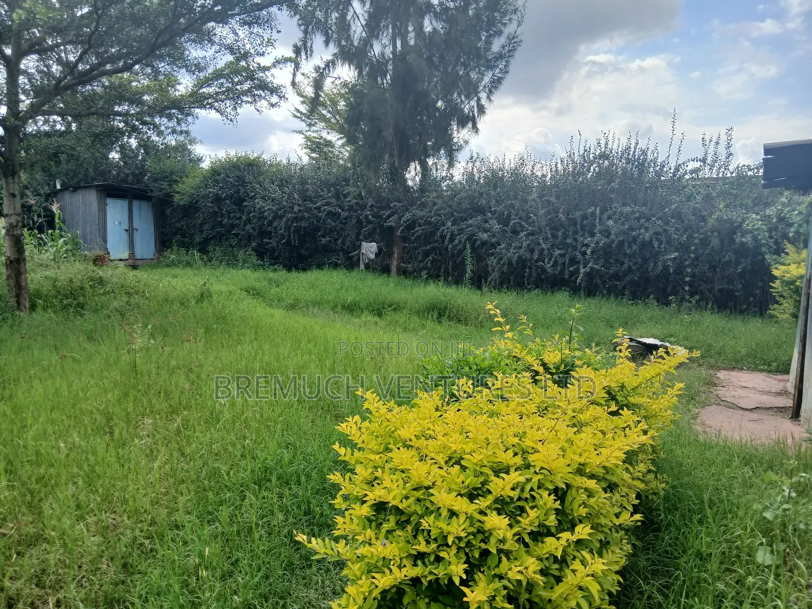 50x100 Plot