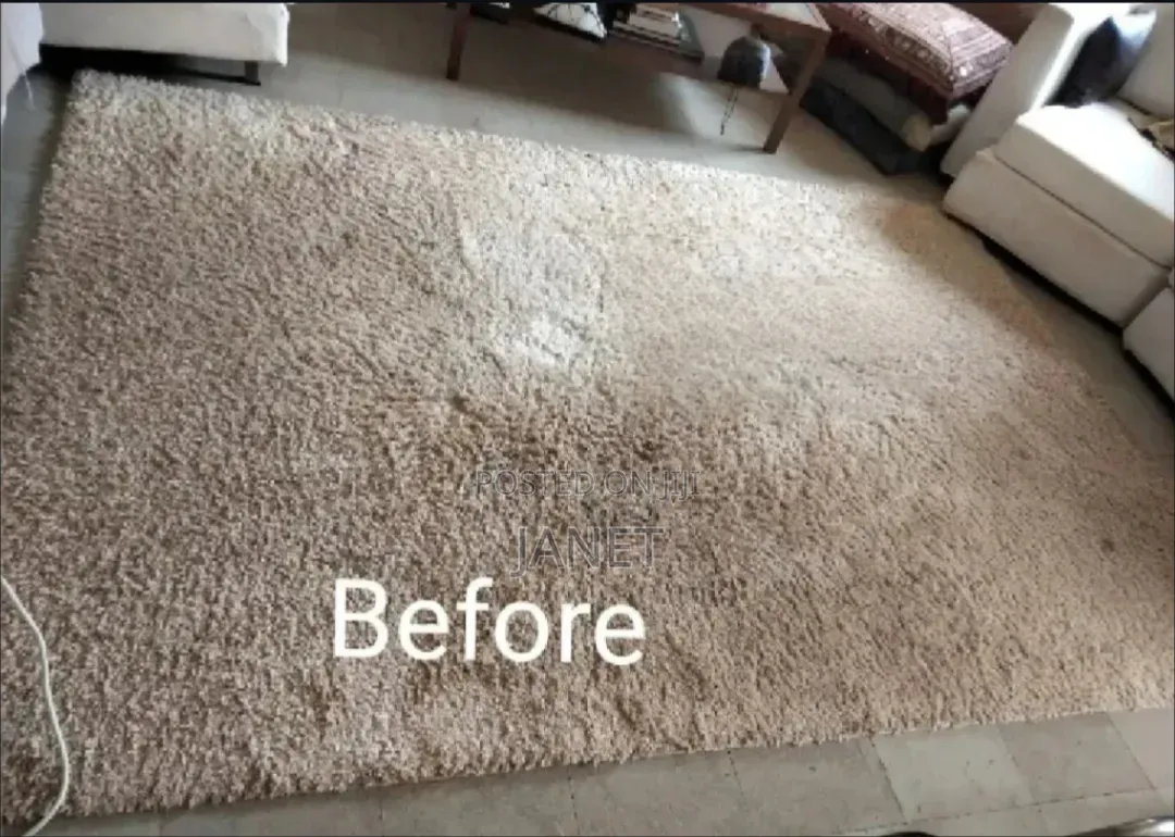 Professional Carpet Cleaning Services