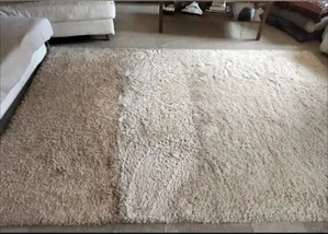 Professional Carpet Cleaning Services