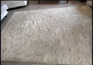 Professional Carpet Cleaning Services