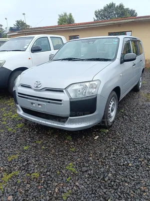 Toyota Probox 1.5 DX 2WD 2019 Silver