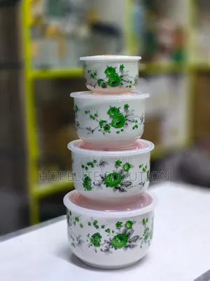 4 in 1 Storage Containers With Lids