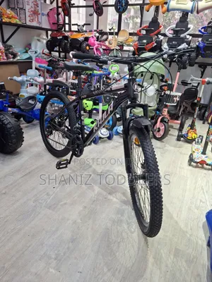 Speed King Bike Size 24'