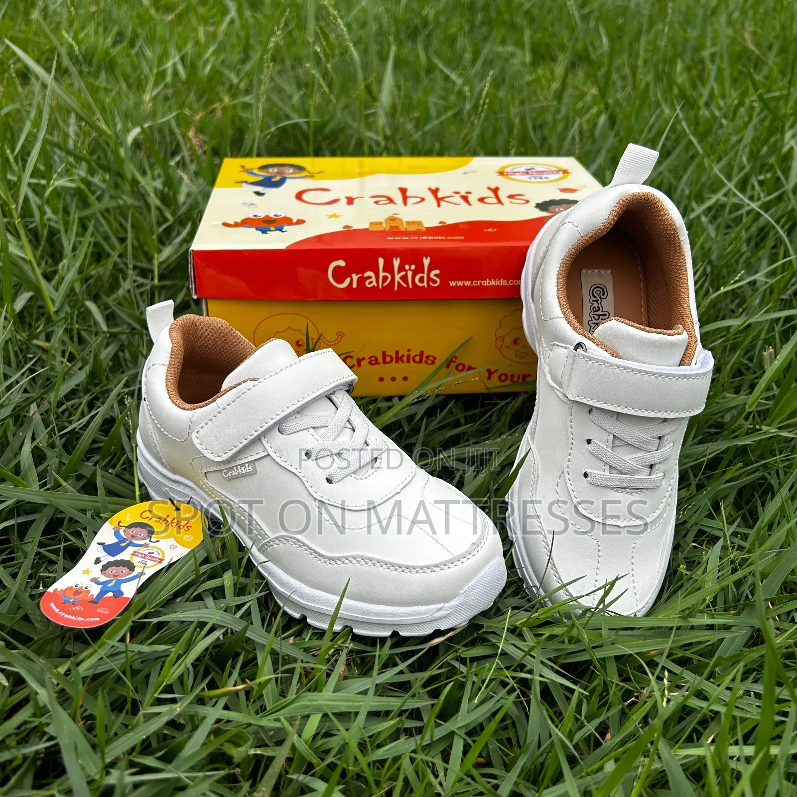 Now Available! Crab Kids Sports Shoes. Sizes 27-41.