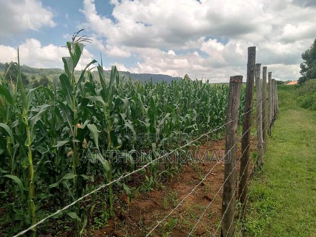 Land for Sale in Ndeiya - main view