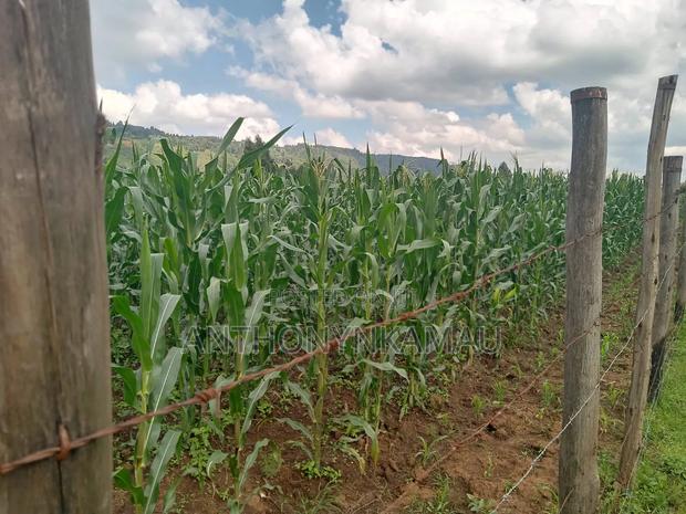 Land for Sale in Ndeiya - thumbnail 4