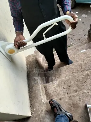 Disabled Toilet Grab Rails