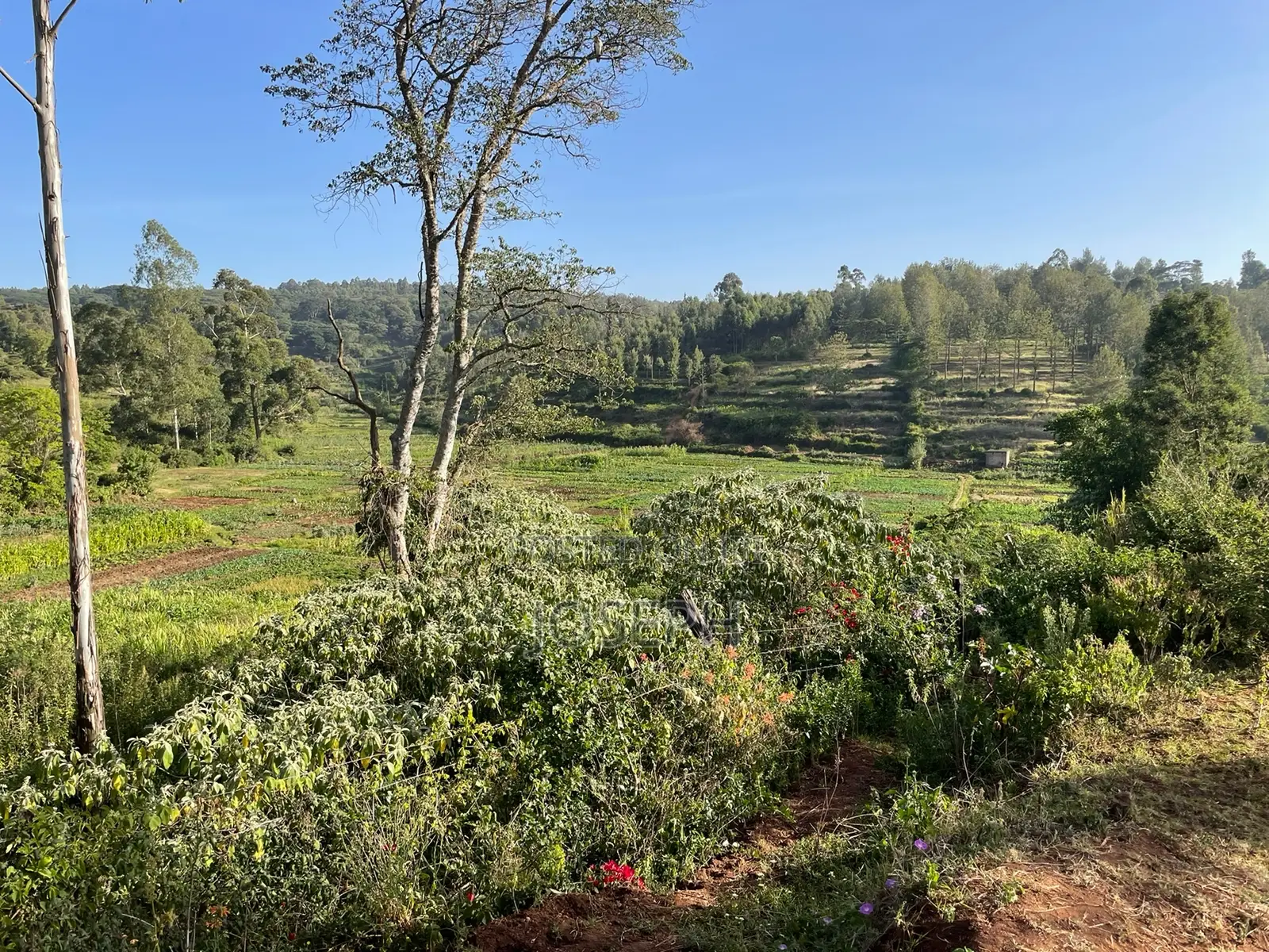 Kerarapon 1/4acre Plots for Sale