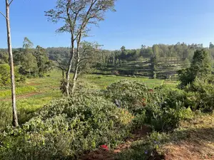 Kerarapon 1/4acre Plots for Sale