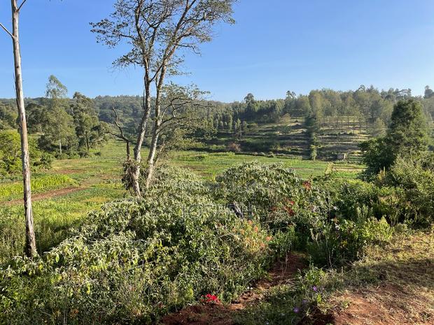 Kerarapon 1/4acre Plots for Sale