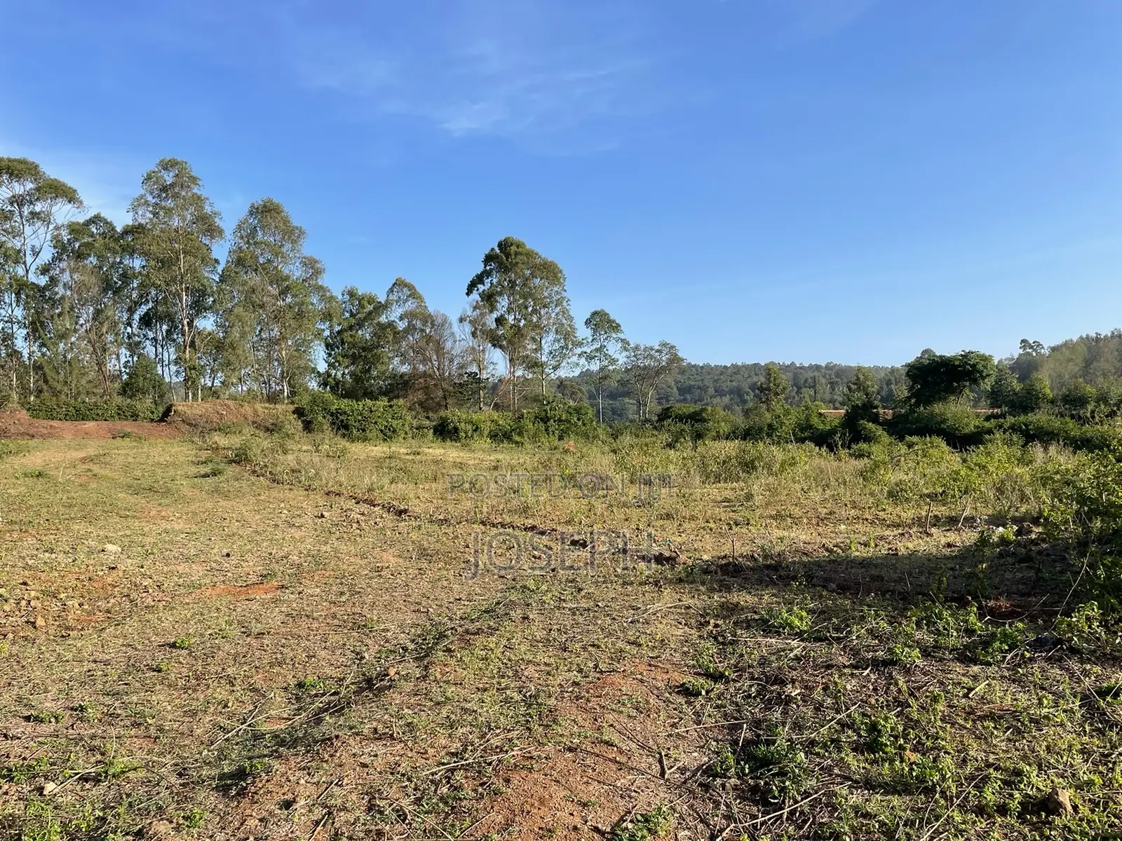 Kerarapon 1/4acre Plots for Sale