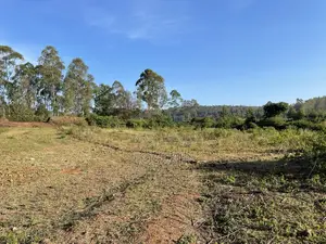 Kerarapon 1/4acre Plots for Sale